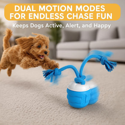 ZoomieSphere™ Interactive Dog Toy