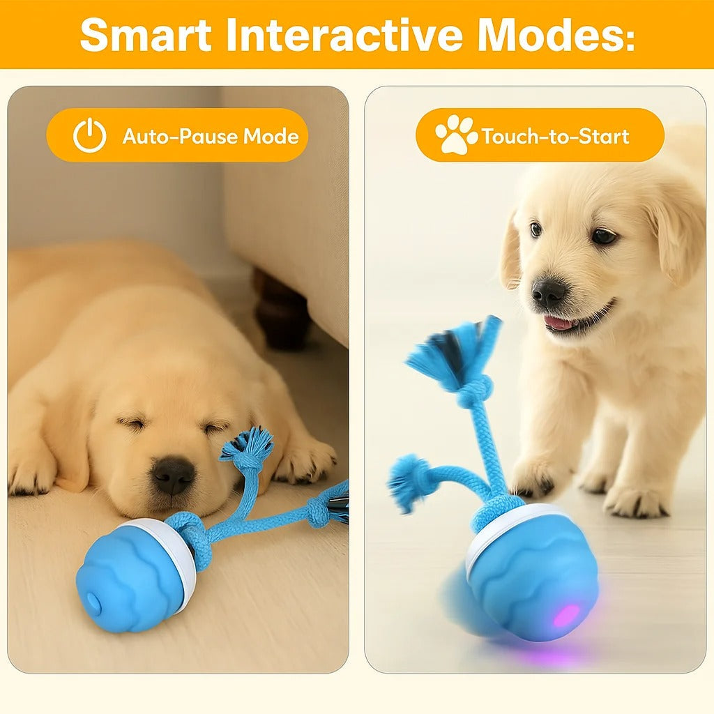 ZoomieSphere™ Interactive Dog Toy