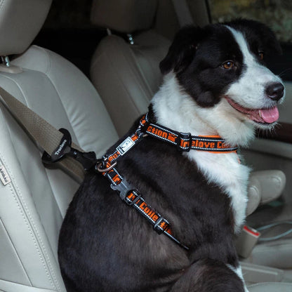 Truelove Car Seat Belt Safety Buckle