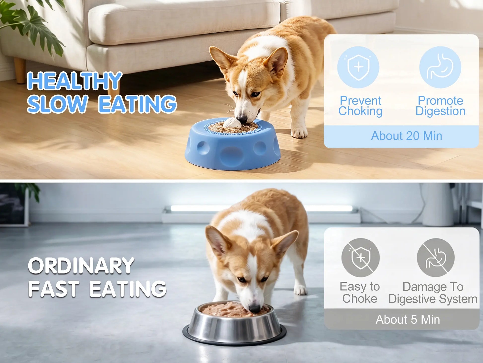 2 in 1 Dog Slow Feeder Bowl for Liquid Treat, No Spill Enrichment Dog Bowl, Cat Bowl, Anxiety Relief Bowl, Food Grade Silicone, Oral Hygiene& Tongue Cleaning,Anti Slip Pet Bowl, Dog Enrichment Toy